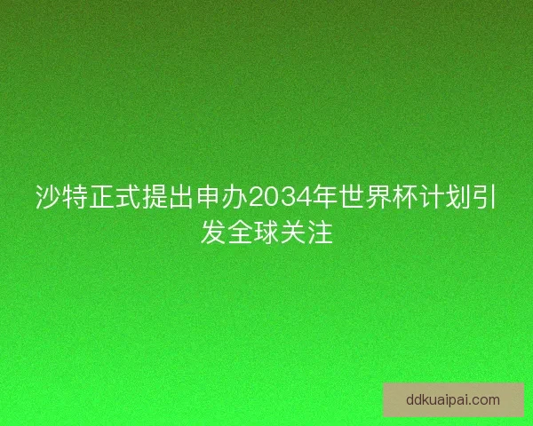 沙特正式提出申办2034年世界杯计划引发全球关注