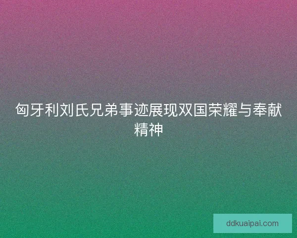 匈牙利刘氏兄弟事迹展现双国荣耀与奉献精神