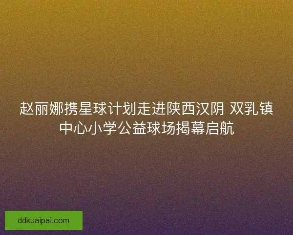 赵丽娜携星球计划走进陕西汉阴 双乳镇中心小学公益球场揭幕启航